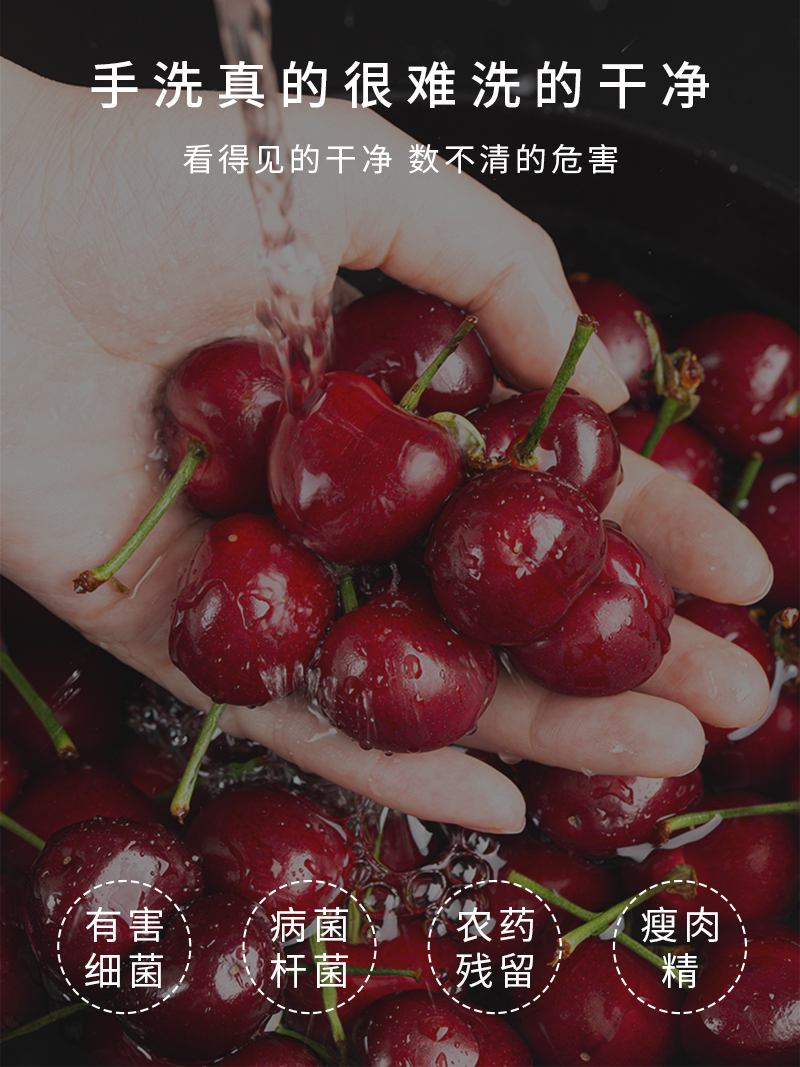 STY05果蔬清洗機(jī)_2