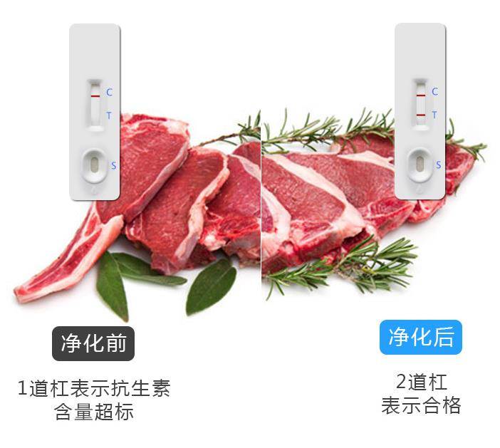 肉類(lèi)凈化效果對(duì)比
